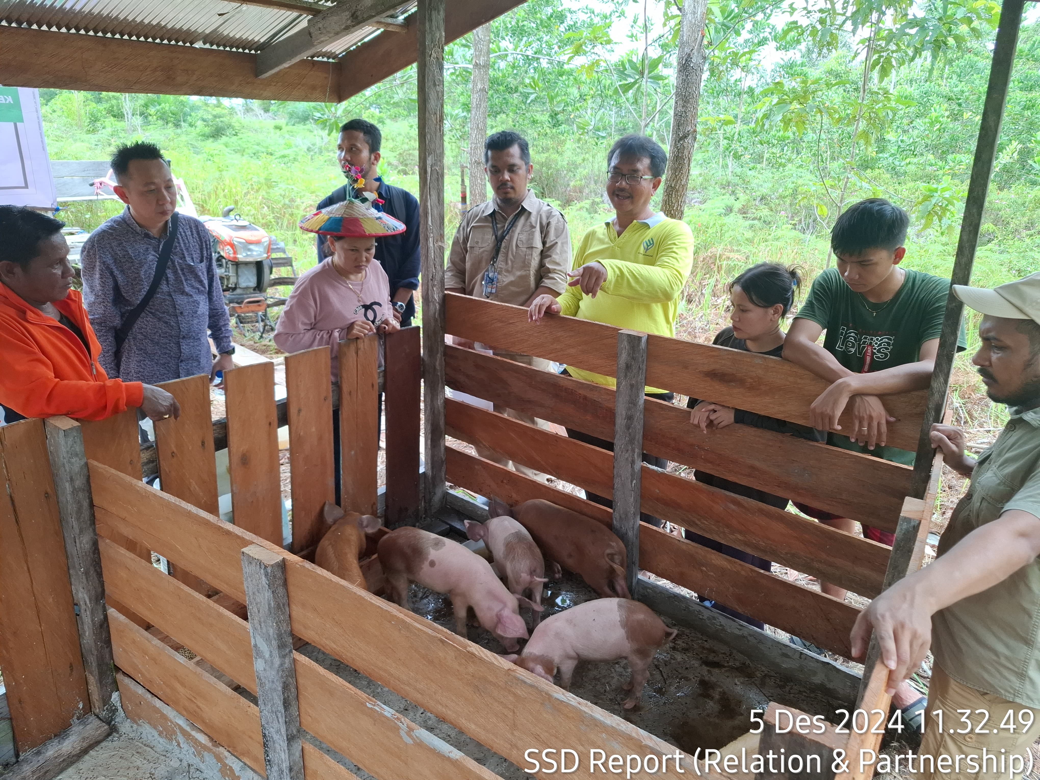  Ternak babi diharapkan perusahaan berdampak terhadap kesejahteraan masyarakat